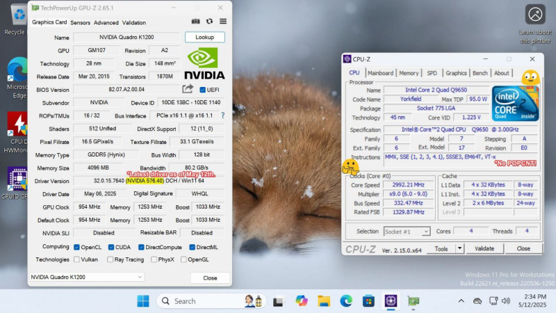  Nvidia Quadro 1200K с новым драйвером Nvidia от 12 мая на системе с Intel Core 2 Quad 9650. Источник изображения: X/@TheBobPony 