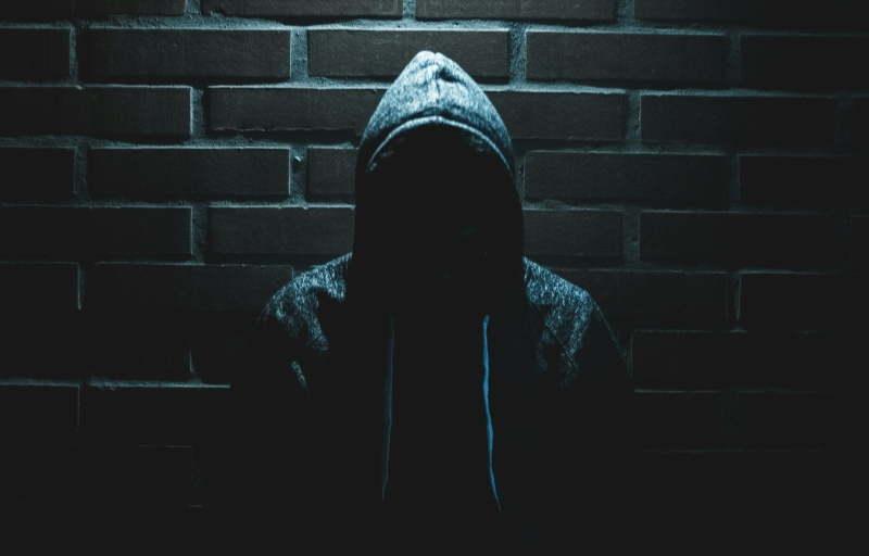  Источник изображений: unsplash.com 