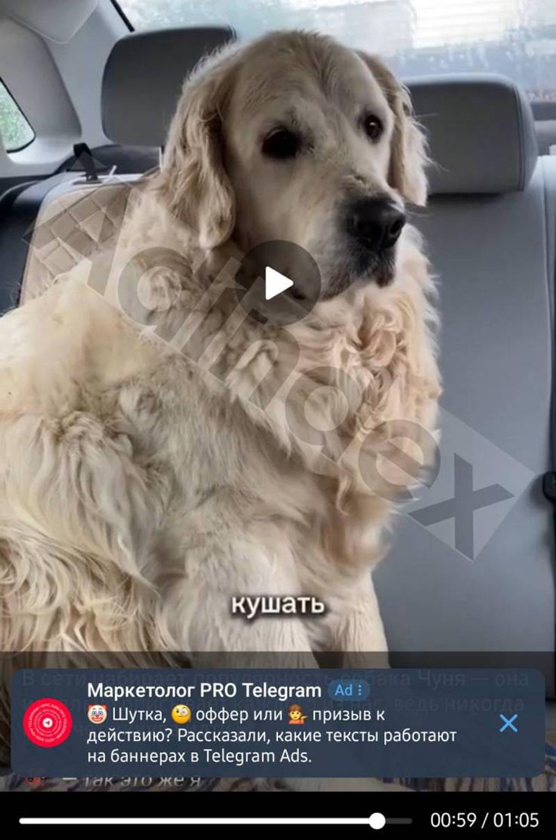  Источник изображений: AdIndex.ru 