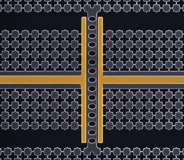  Квантовое запоминающее устрйоство под микроскопом. Источник изображения: Caltech 