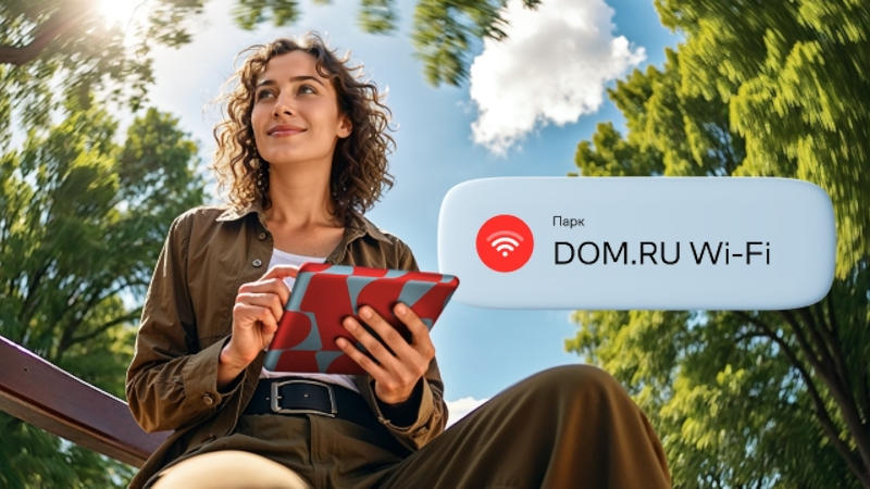  Источник изображения: dom.ru 