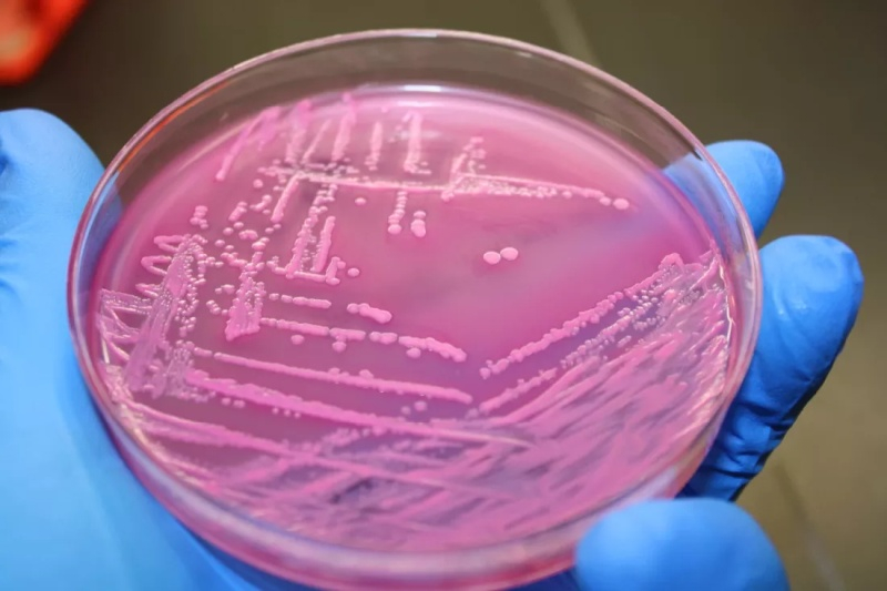  Источник изображения: techspot.com 