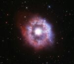 Изображение сверхновой SN 2023aeaf и галактики-хозяина от телескопа JWST